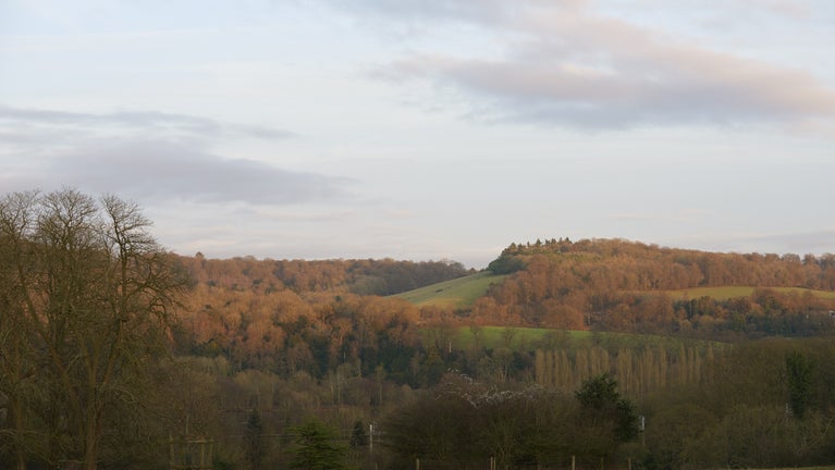The wintry parkland at Basildon Park, Berkshire